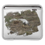 Arctic Fox on the Ground; No Text Sleeve For Ipads