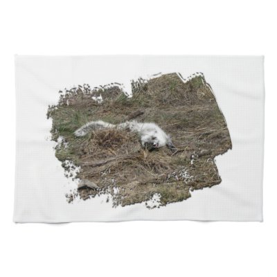 Arctic Fox on the Ground; No Text Hand Towels by Picture_Imperfect