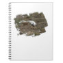 Arctic Fox on the Ground; No Text Note Books
