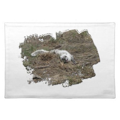 Arctic Fox on the Ground; No Text Place Mats by Picture_Imperfect