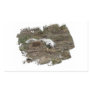 Arctic Fox on the Ground; No Text Rectangular Sticker