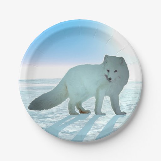 Arctic Fox Paper Plate Zazzle