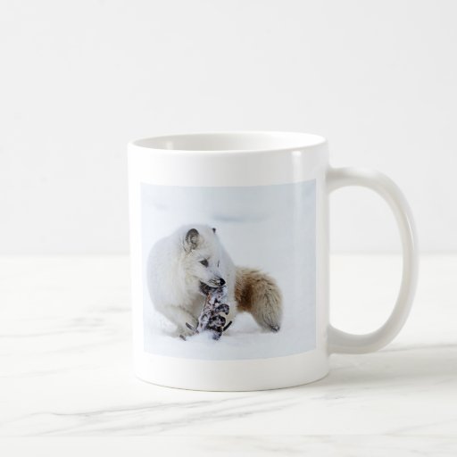 Arctic Fox - Snacking Mugs