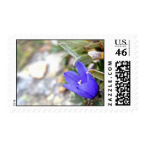 Arctic Harebell Stamp stamps