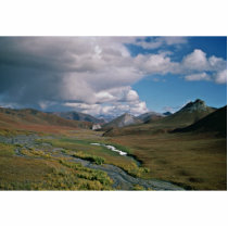 Arctic National Wildlife Refuge photo sculptures