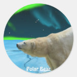 Arctic Polar Bear & Aurora Art Stickers