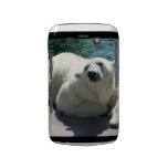 Arctic Polar Bear Blackberry Bold Case