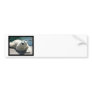 Arctic Polar Bear Bumper Sticker