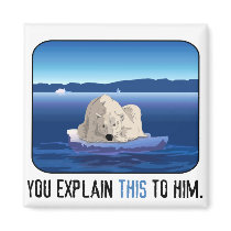 Arctic Polar Bear magnets