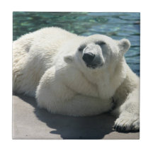 Arctic Polar Bear Tile