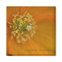 Arctic Poppy Magnet