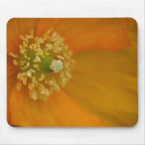 Arctic Poppy • Mousepad