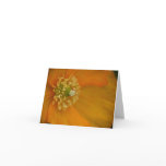 Arctic Poppy Note Card