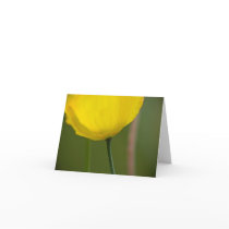 Arctic Poppy Note Card by SabineSt Arctic Poppy Note Card