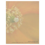 Arctic Poppy  • Personalized Letterhead