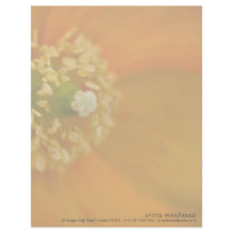 Arctic Poppy  • Personalized Letterhead