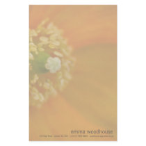 Arctic Poppy • Stationery by SabineSt Arctic Poppy • Stationery