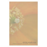 Arctic Poppy • Stationery