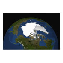 Arctic sea ice in 2005
