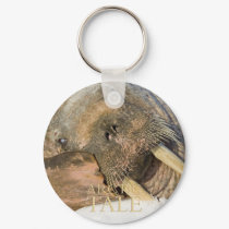 Arctic Tale keychains