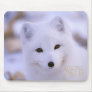 Arctic Tale mousepads by arctictale Arctic Tale mousepads