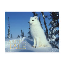 Arctic Tale postcards