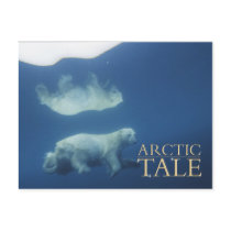Arctic Tale postcards