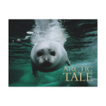 Arctic Tale postcards