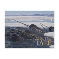 Arctic Tale postcards