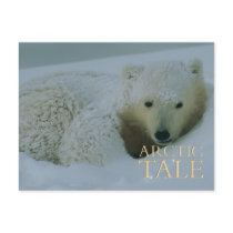 Arctic Tale postcards