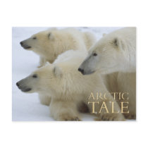 Arctic Tale postcards