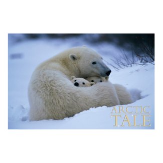 Arctic Tale print