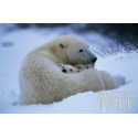 Arctic Tale print