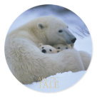 round_sticker - Arctic Tale