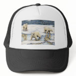 Arctic Wanderers Hats