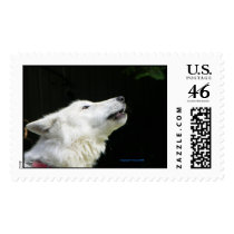 Arctic White Wolfe  postage