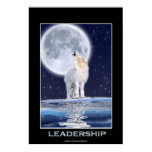 Arctic Wolf Anatomy | RM. Arctic Wolf Anatomy | RM.