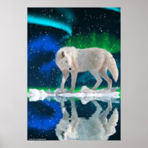 Arctic Wolf, Aurora Wildlife Art Poster
