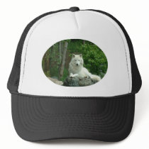 Arctic Wolf Baseball Hat