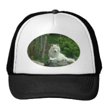 Arctic Wolf Baseball Hat