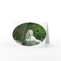 Arctic Wolf Greeting Card