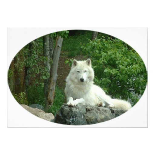 Arctic Wolf Invitation