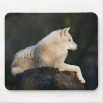 Arctic Wolf Mousepad by SabineSt Arctic Wolf Mousepad