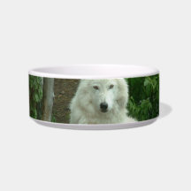 Arctic Wolf  Pet Bowl