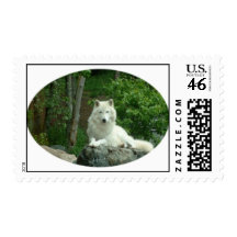 Arctic Wolf Postage Stamp