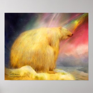 Arctic Wonders Art Poster/Print print