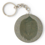 Arctinurus Boltoni fossil trilobite Keychains