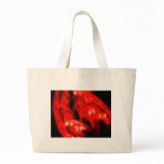 ArdentExpanse Bags