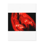 ArdentExpanse Postcards