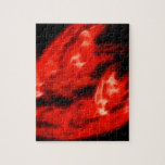 ArdentExpanse Puzzle